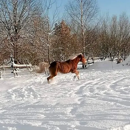 Babie Lato بيت خشبي Wlodarka